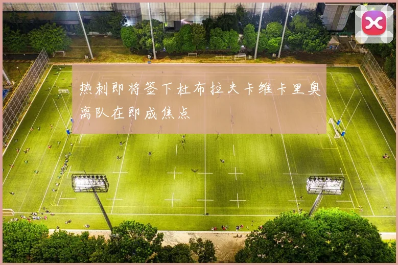 热刺即将签下杜布拉夫卡维卡里奥离队在即成焦点